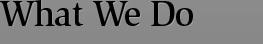 What We Do